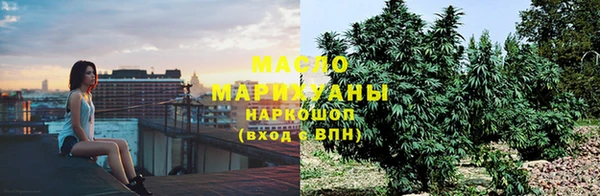 гашик Богородск