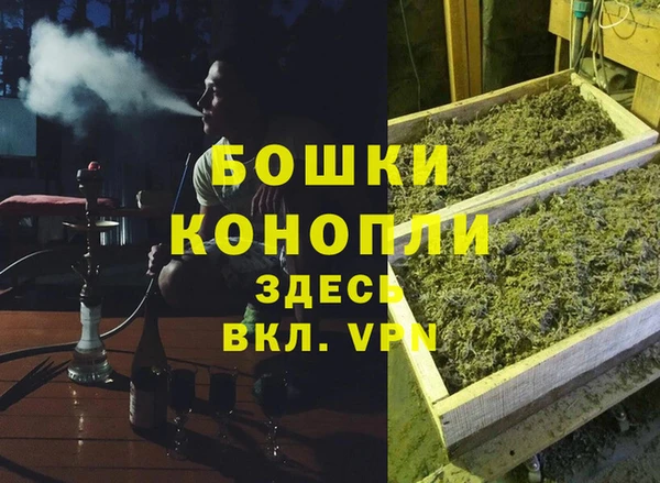 гашик Богородск